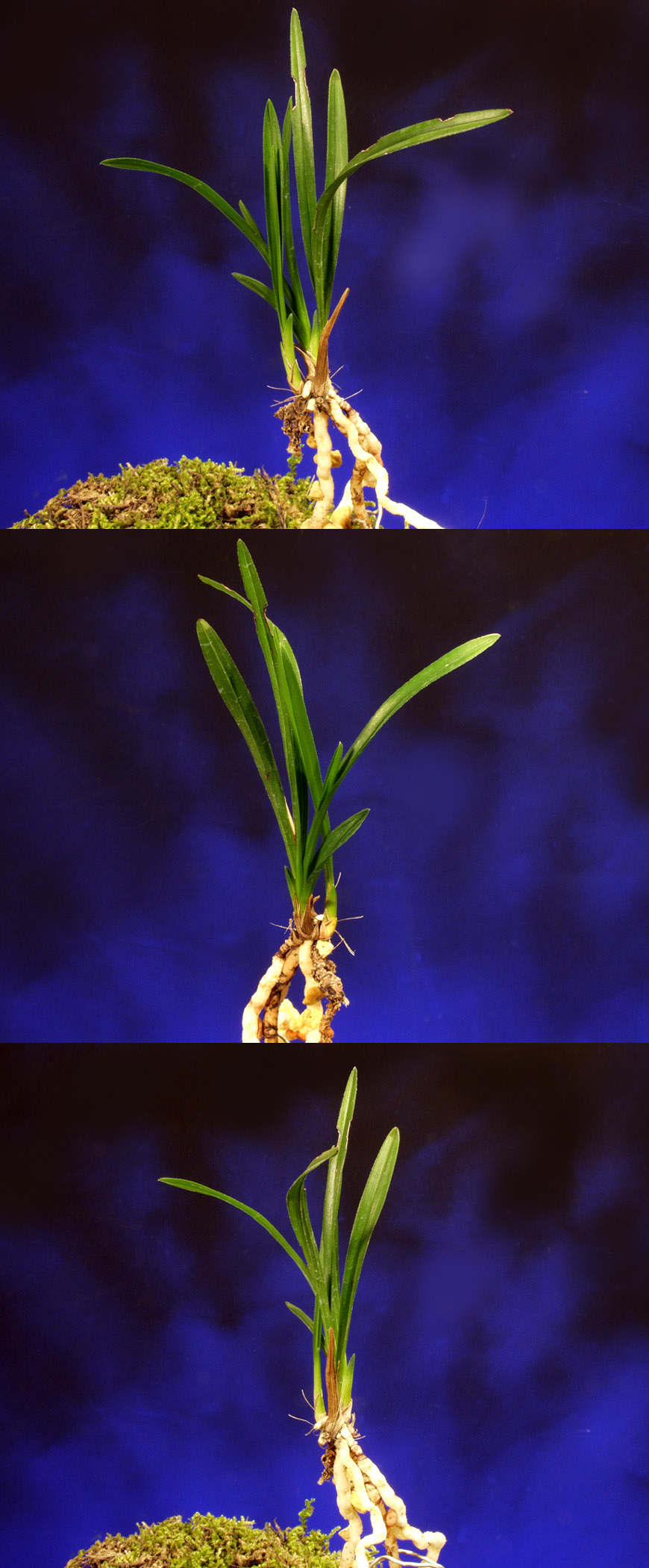 ������ ū������ �� �� �ֽ��ϴ�.