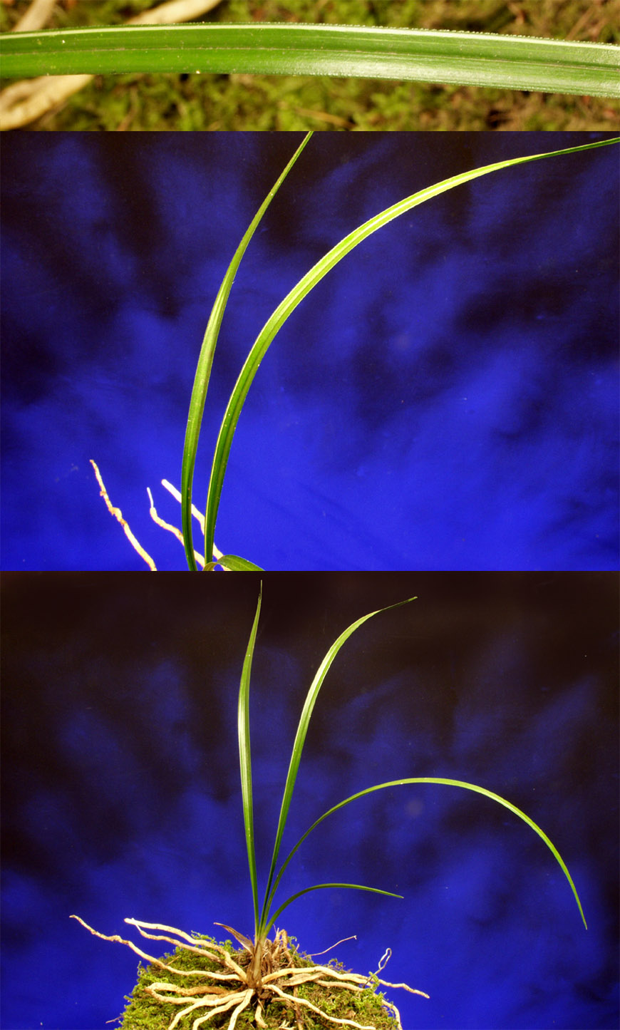 ������ ū������ �� �� �ֽ��ϴ�.