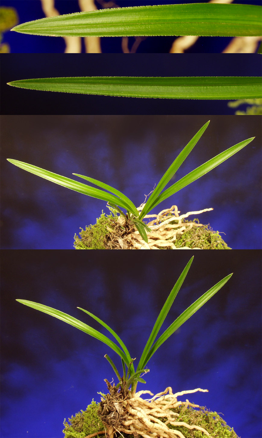 ������ ū������ �� �� �ֽ��ϴ�.