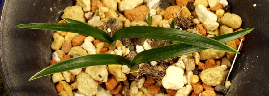 ������ ū������ �� �� �ֽ��ϴ�.