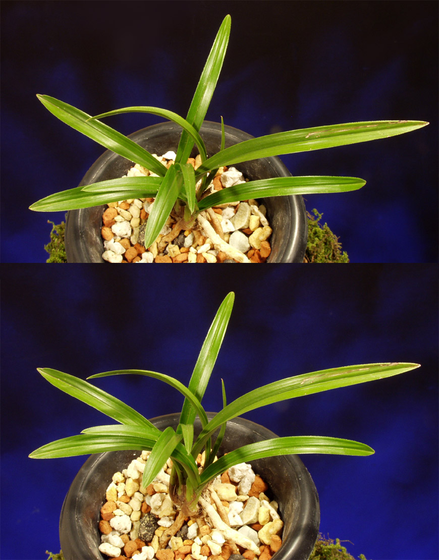 ������ ū������ �� �� �ֽ��ϴ�.