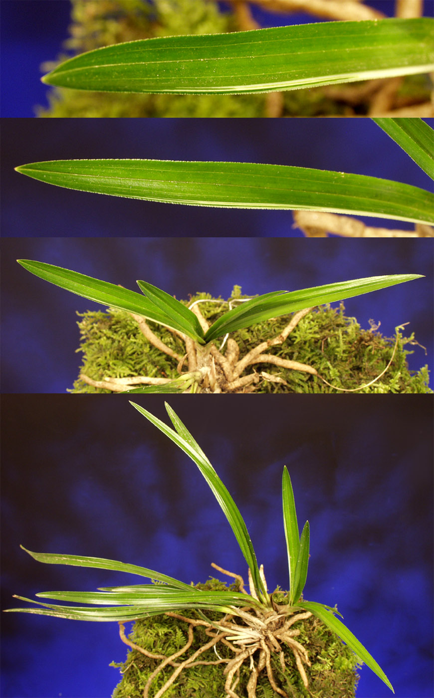 ������ ū������ �� �� �ֽ��ϴ�.