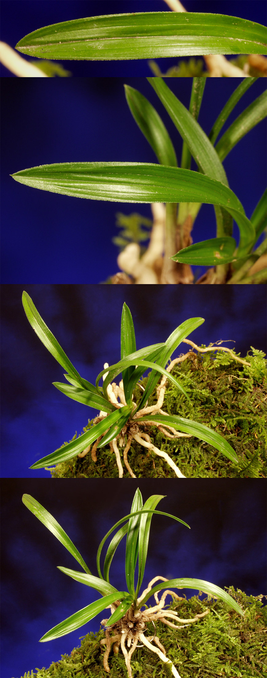 ������ ū������ �� �� �ֽ��ϴ�.