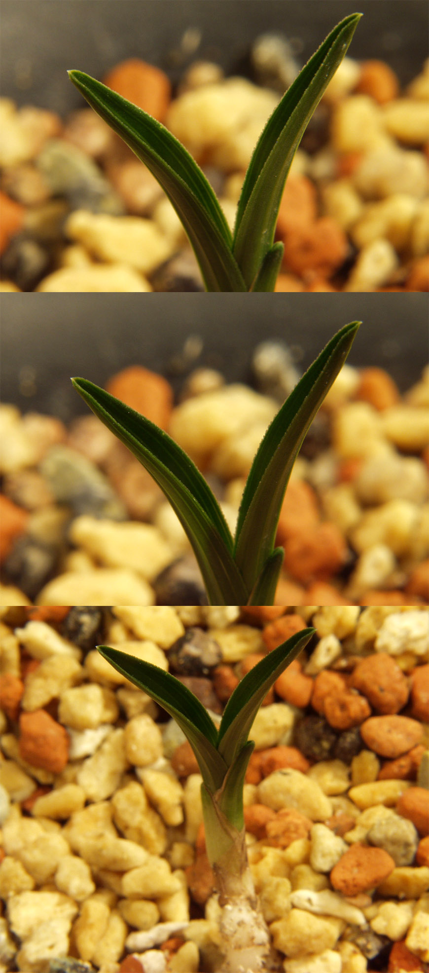 ������ ū������ �� �� �ֽ��ϴ�.