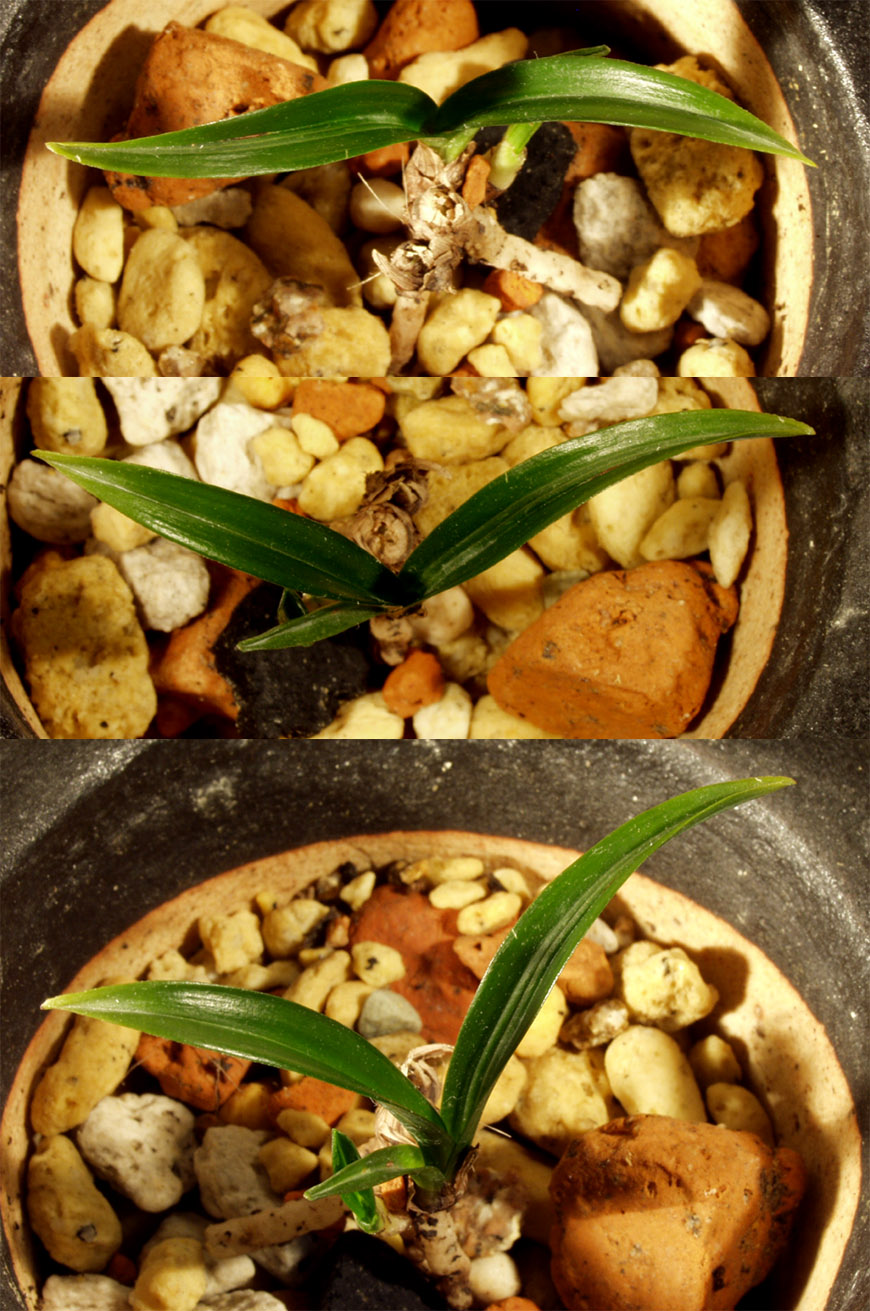 ������ ū������ �� �� �ֽ��ϴ�.