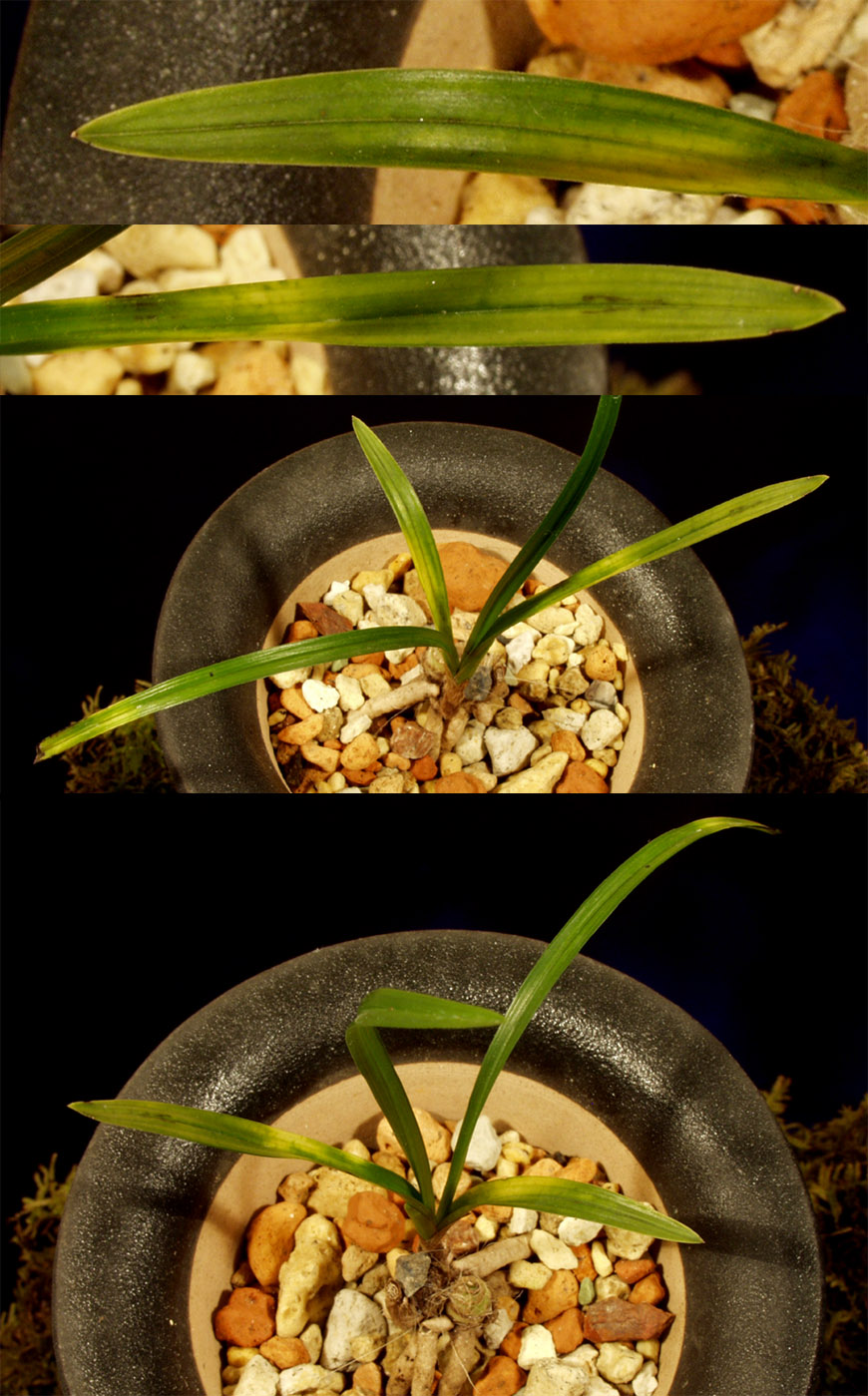 ������ ū������ �� �� �ֽ��ϴ�.