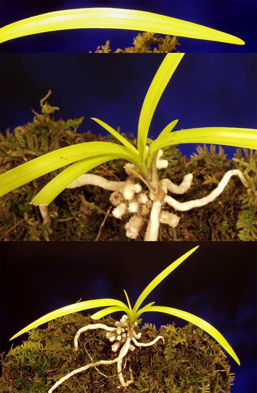 ������ ū������ �� �� �ֽ��ϴ�.