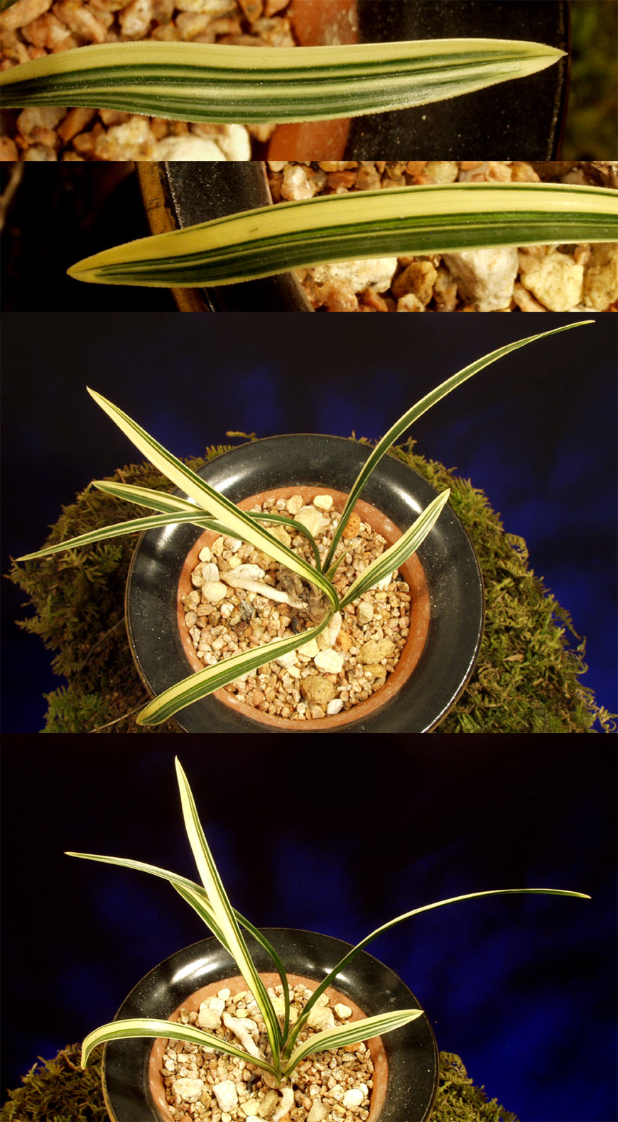 ������ ū������ �� �� �ֽ��ϴ�.