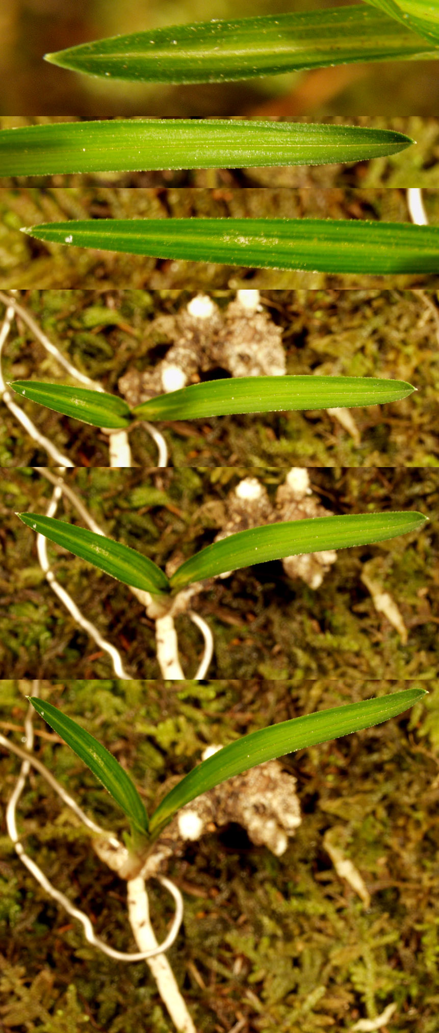 ������ ū������ �� �� �ֽ��ϴ�.