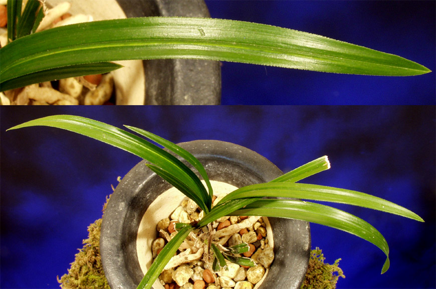 ������ ū������ �� �� �ֽ��ϴ�.