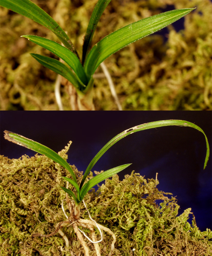 ������ ū������ �� �� �ֽ��ϴ�.