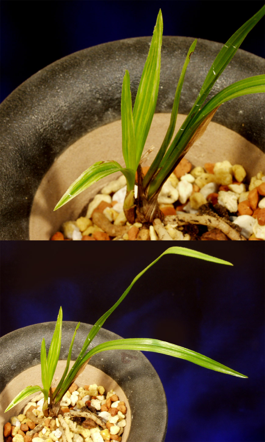 ������ ū������ �� �� �ֽ��ϴ�.