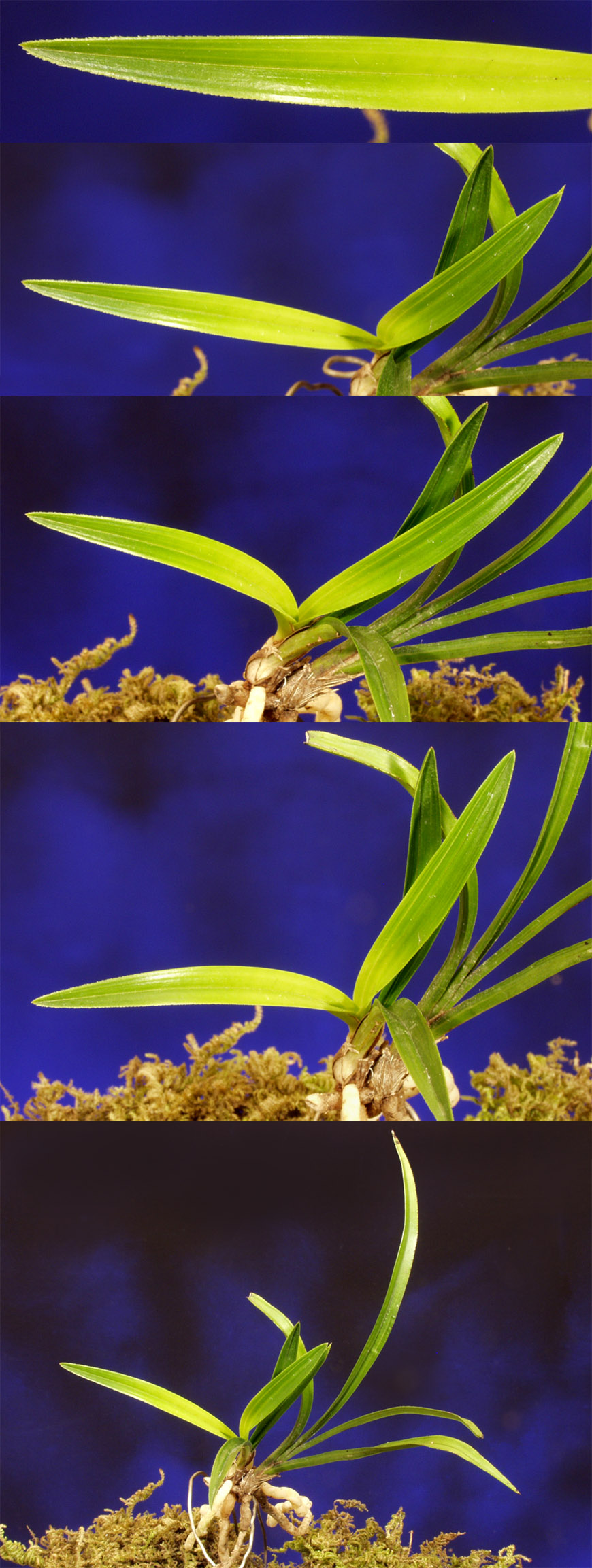 ������ ū������ �� �� �ֽ��ϴ�.