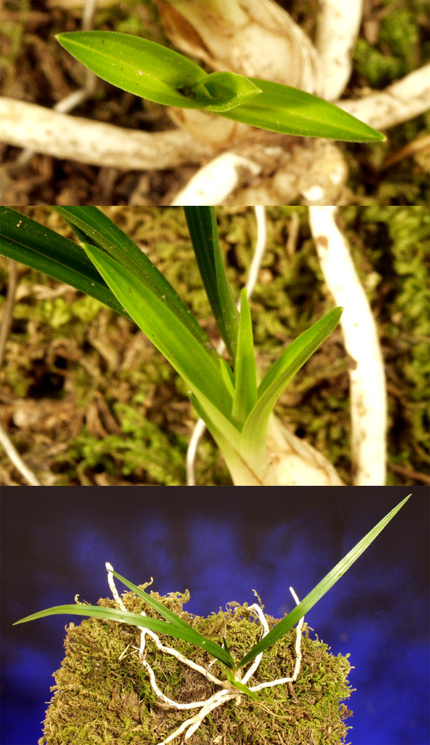 ������ ū������ �� �� �ֽ��ϴ�.