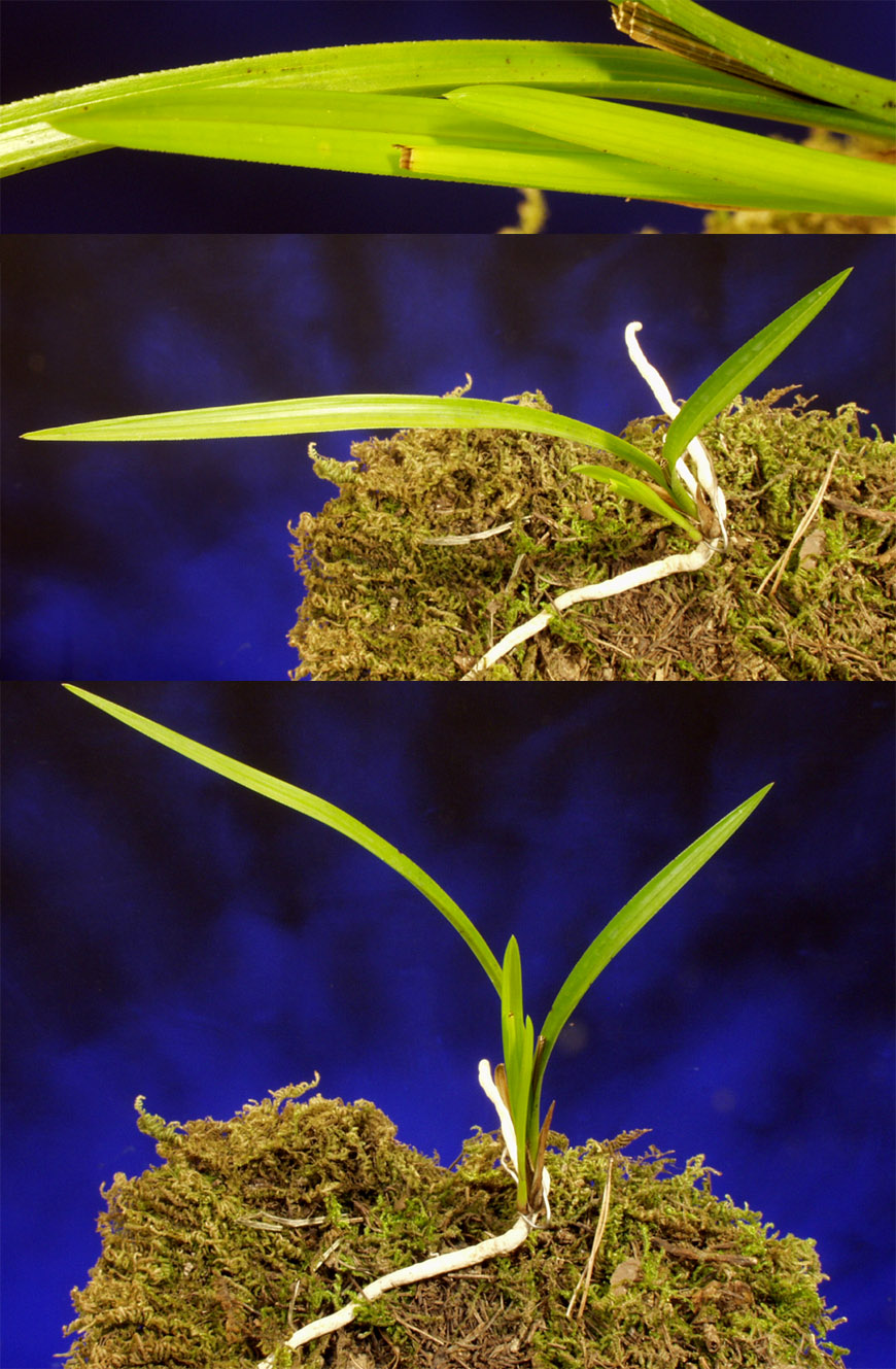 ������ ū������ �� �� �ֽ��ϴ�.