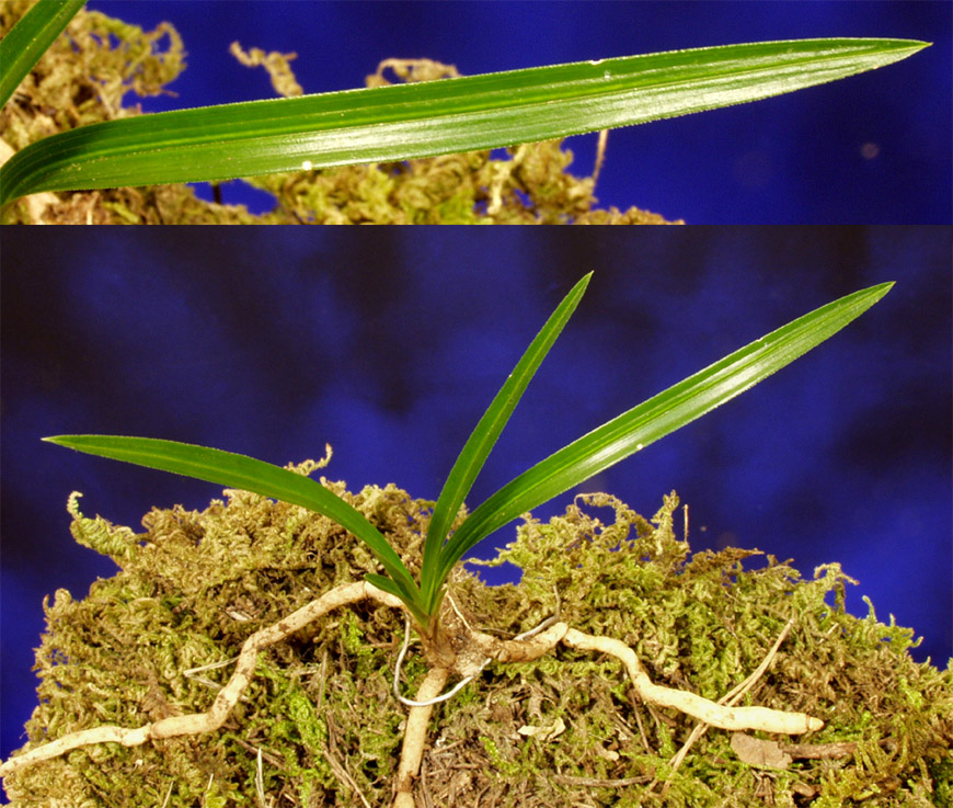 ������ ū������ �� �� �ֽ��ϴ�.