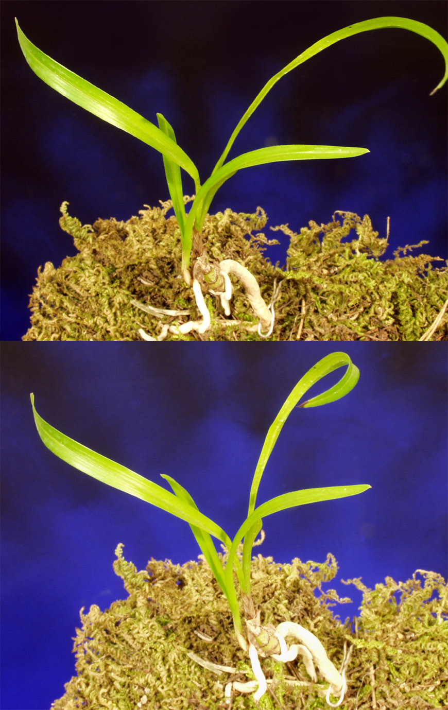 ������ ū������ �� �� �ֽ��ϴ�.