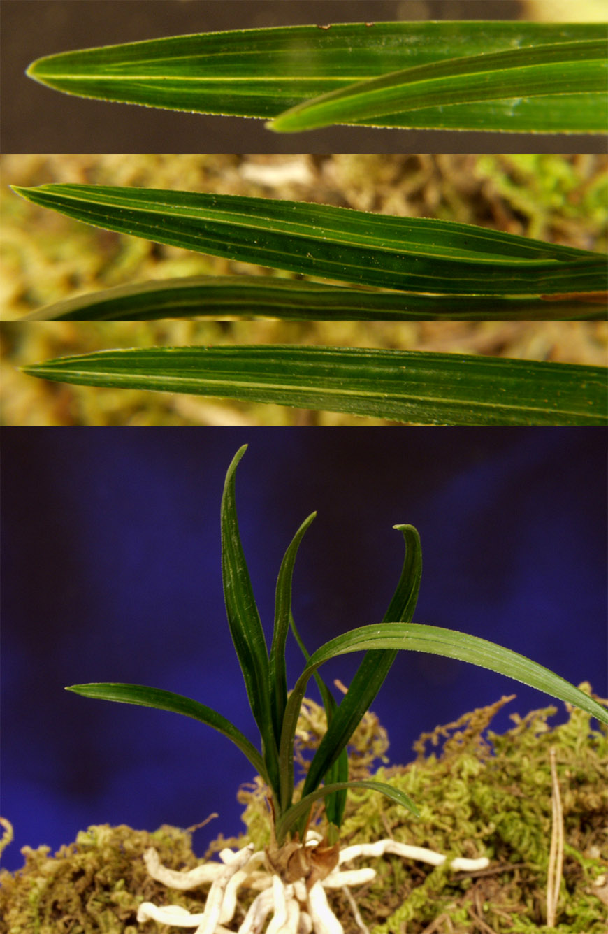 ������ ū������ �� �� �ֽ��ϴ�.