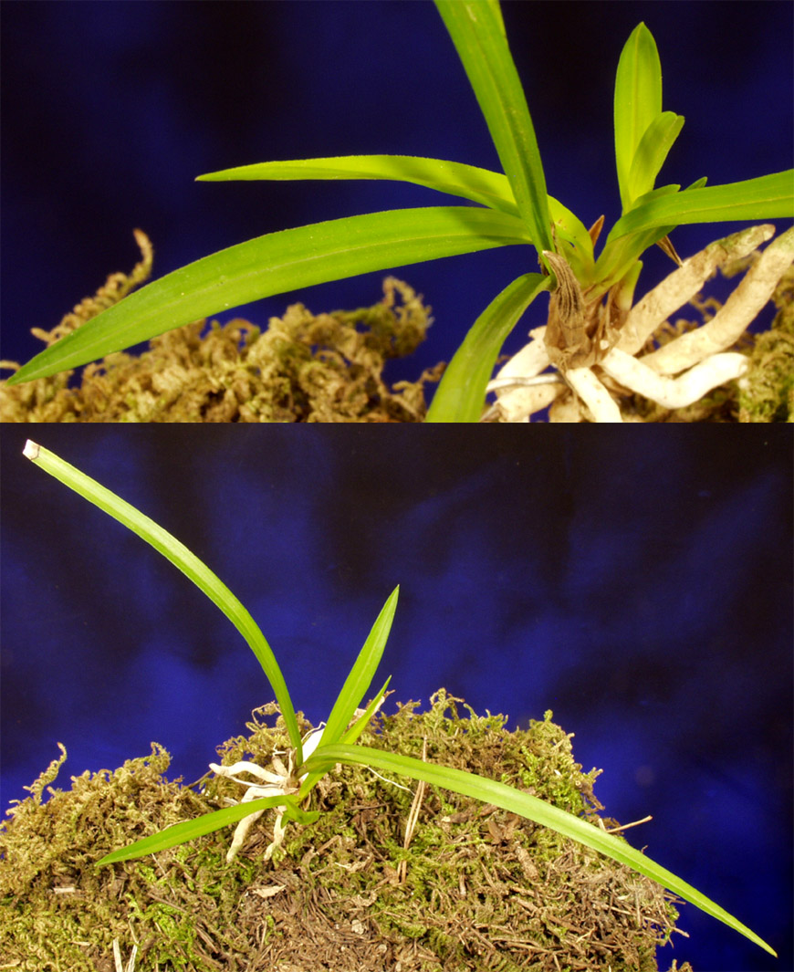 ������ ū������ �� �� �ֽ��ϴ�.