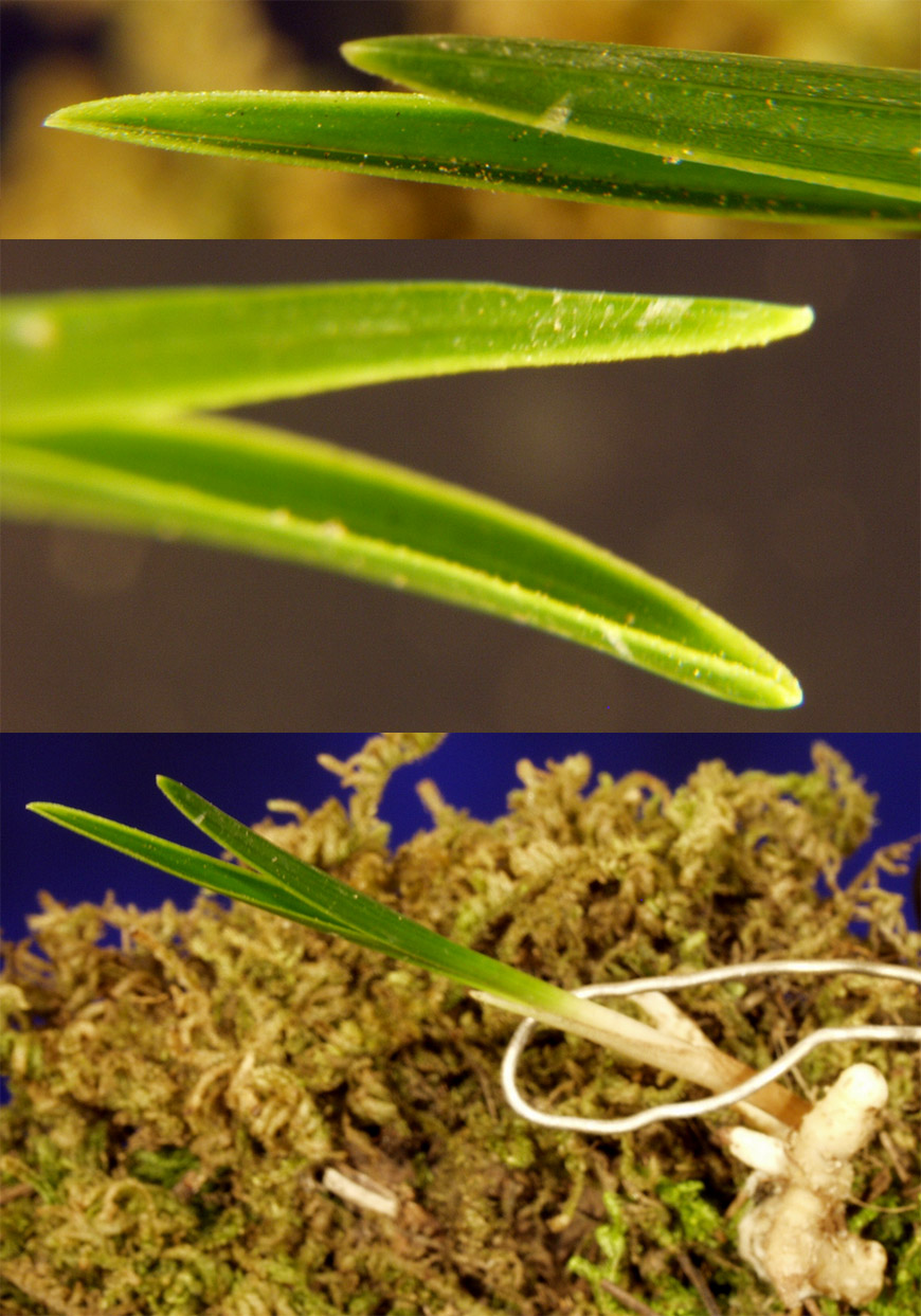 ������ ū������ �� �� �ֽ��ϴ�.