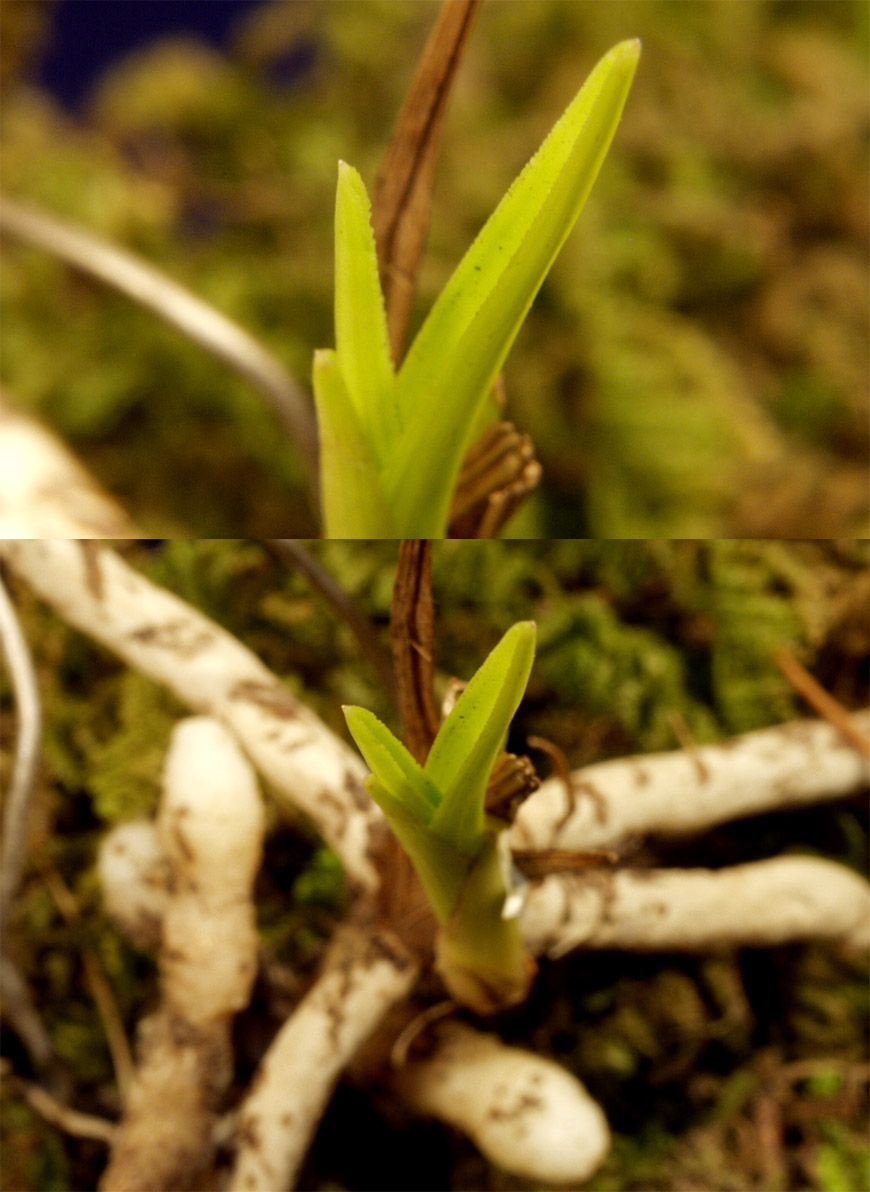 ������ ū������ �� �� �ֽ��ϴ�.