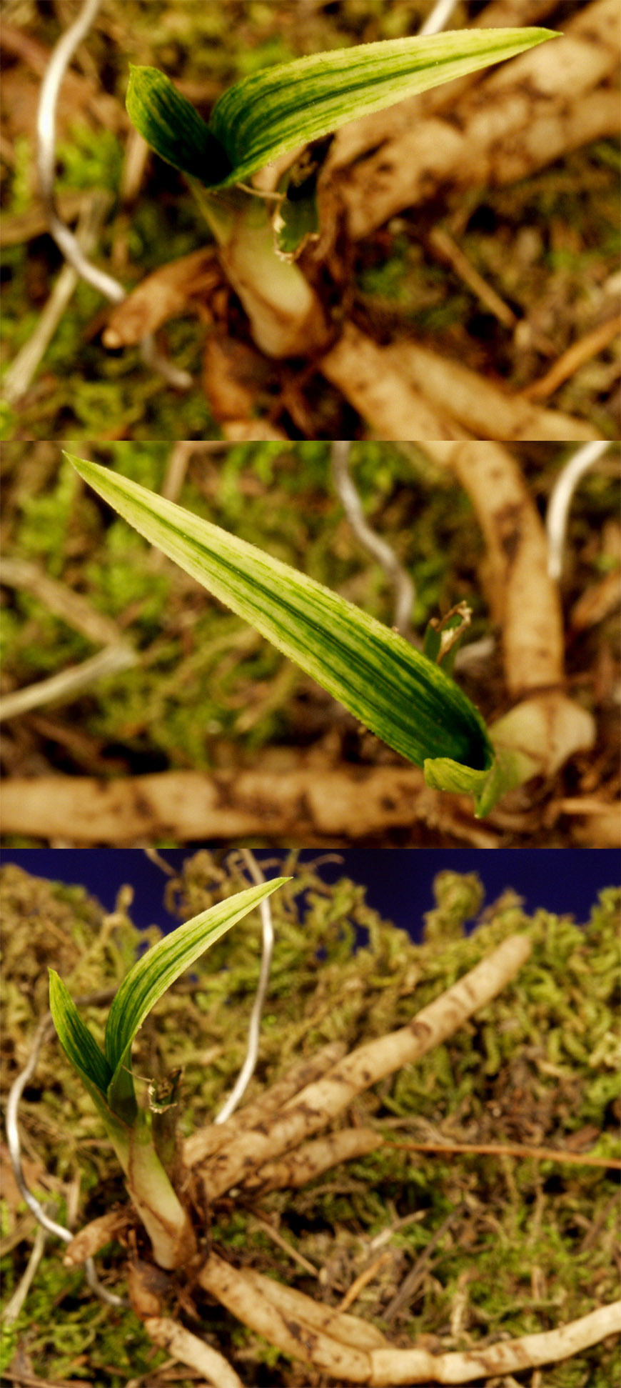 ������ ū������ �� �� �ֽ��ϴ�.