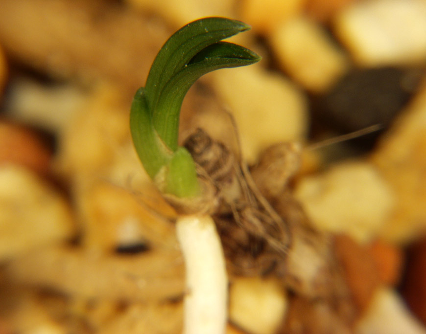 ������ ū������ �� �� �ֽ��ϴ�.