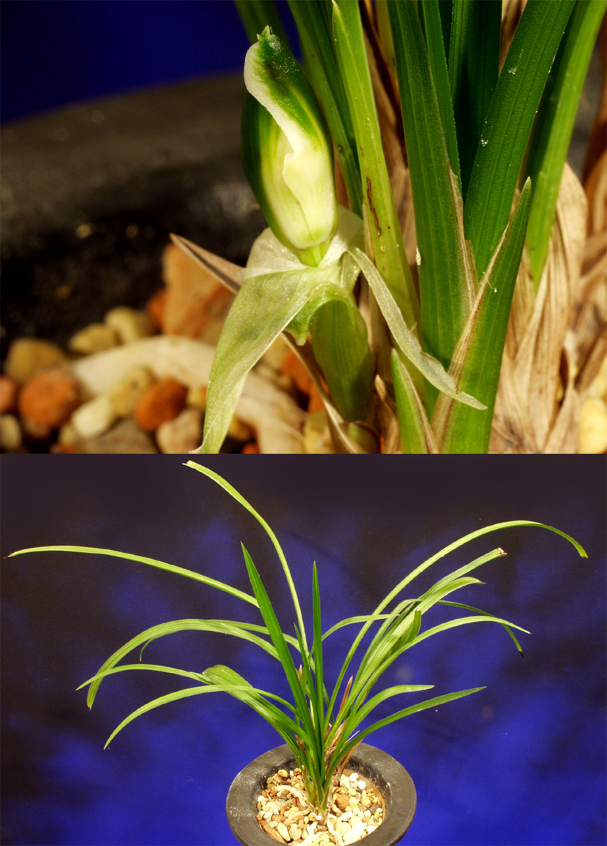 ������ ū������ �� �� �ֽ��ϴ�.