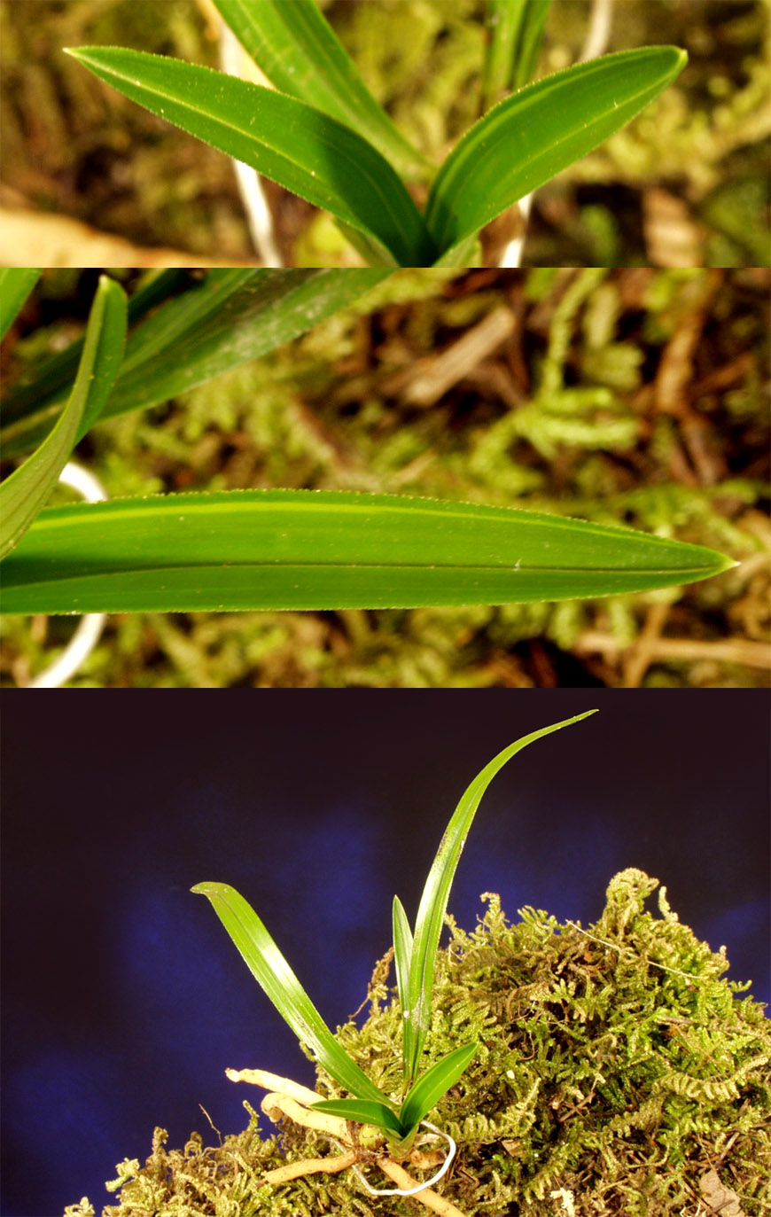 ������ ū������ �� �� �ֽ��ϴ�.