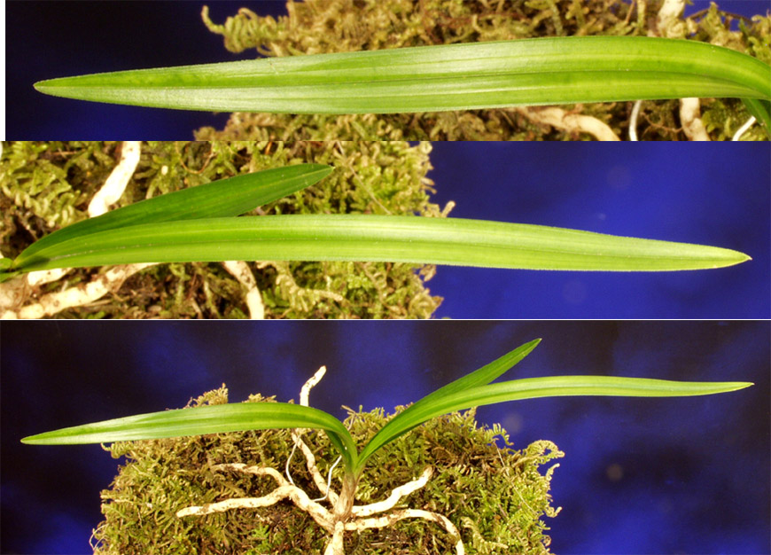 ������ ū������ �� �� �ֽ��ϴ�.