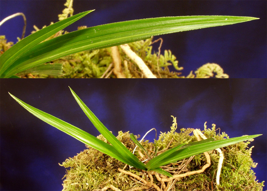 ������ ū������ �� �� �ֽ��ϴ�.