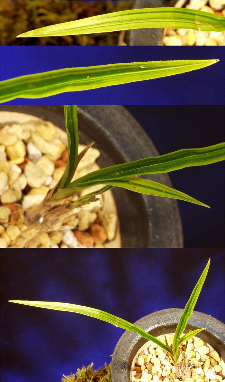 ������ ū������ �� �� �ֽ��ϴ�.