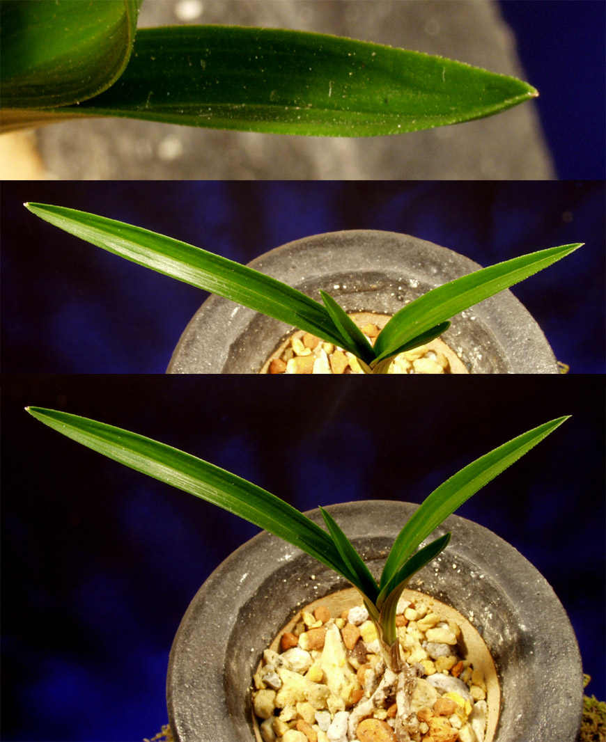 ������ ū������ �� �� �ֽ��ϴ�.