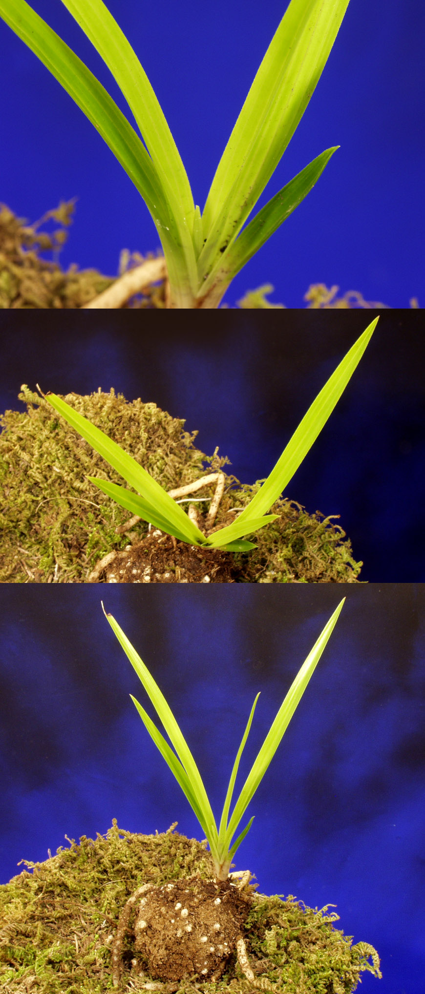 ������ ū������ �� �� �ֽ��ϴ�.