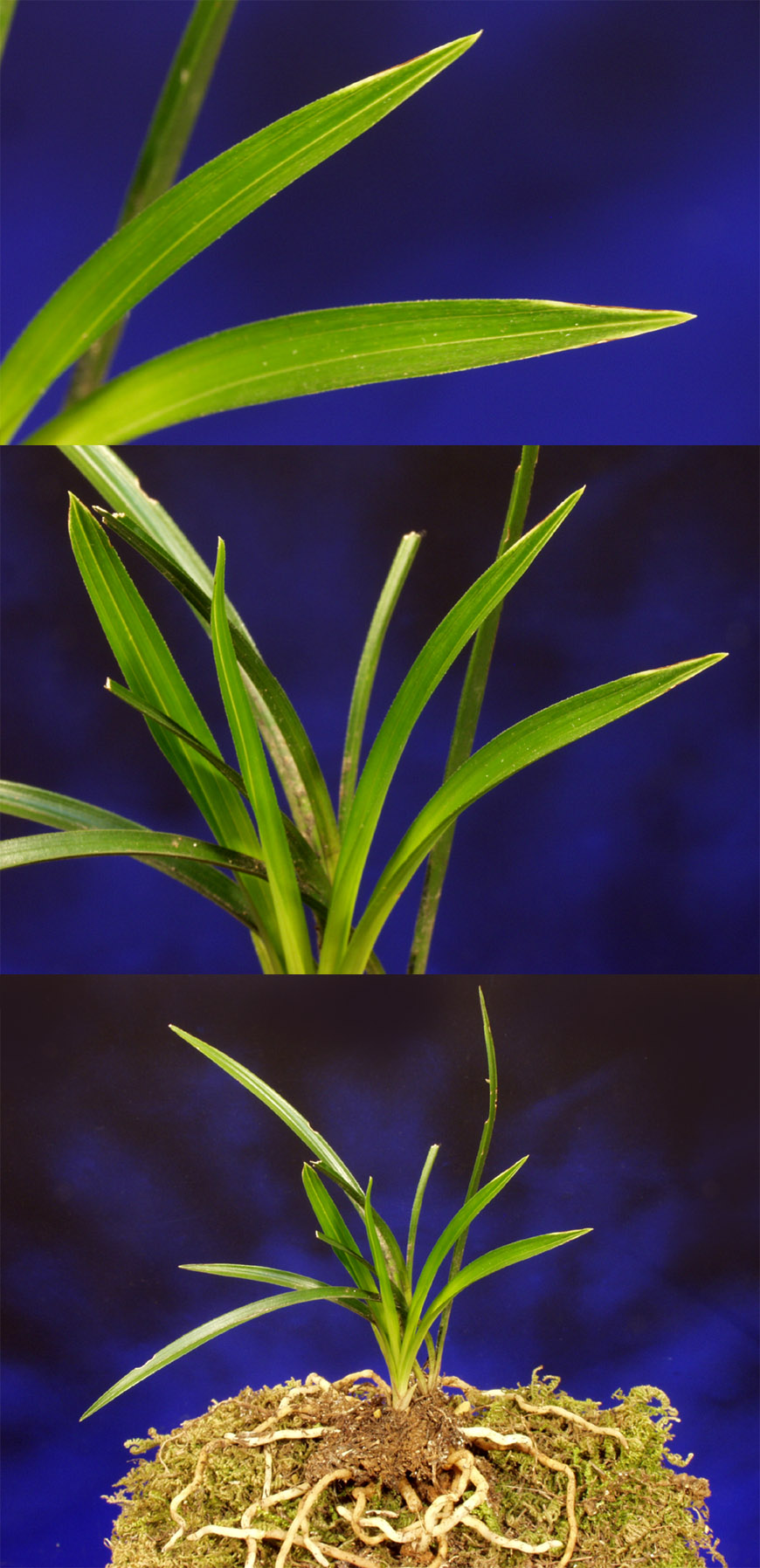 ������ ū������ �� �� �ֽ��ϴ�.