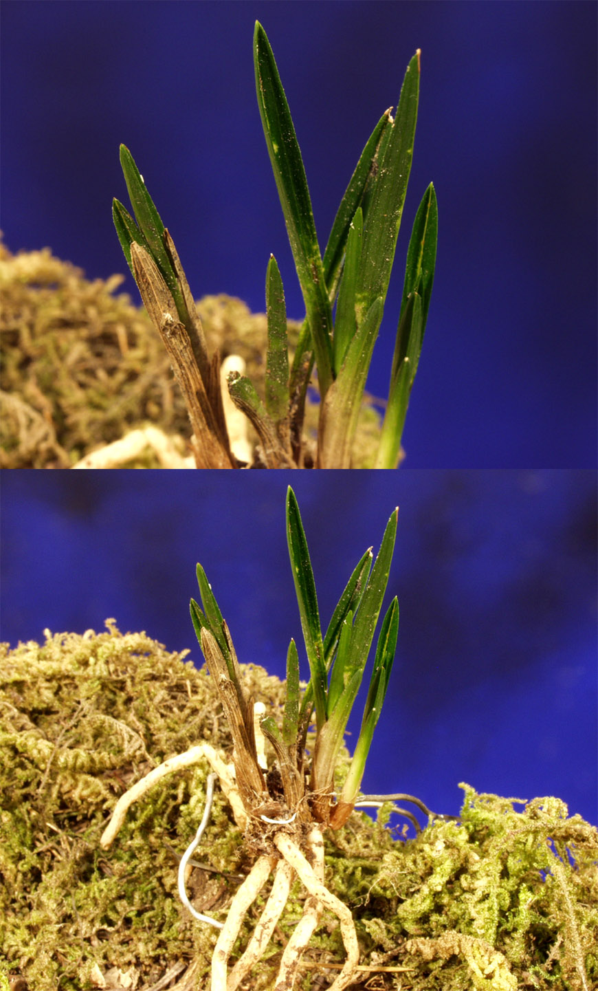 ������ ū������ �� �� �ֽ��ϴ�.