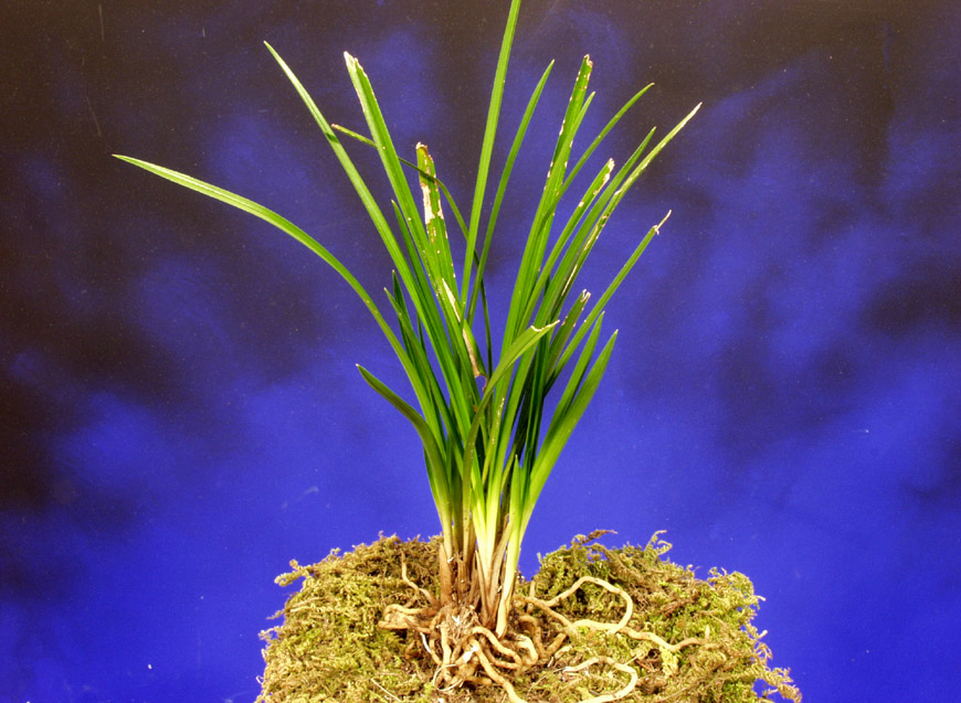 ������ ū������ �� �� �ֽ��ϴ�.