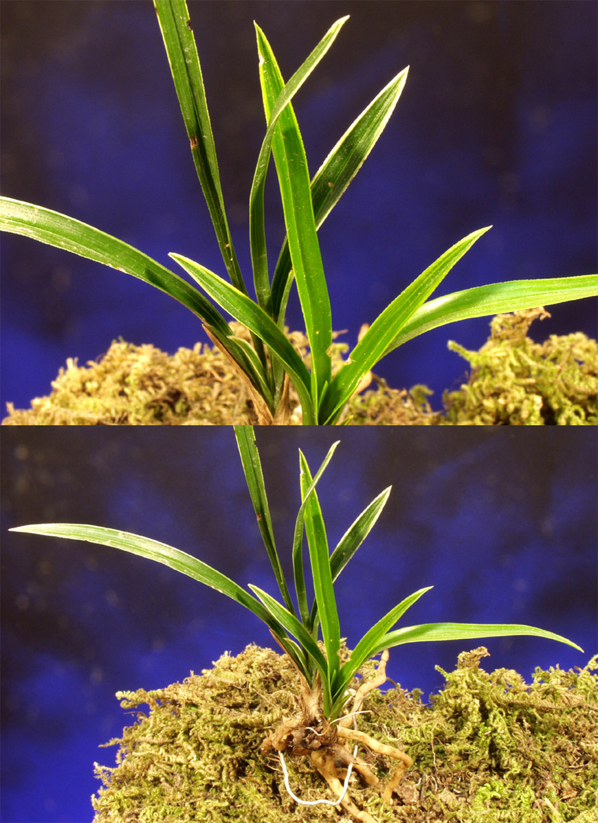 ������ ū������ �� �� �ֽ��ϴ�.