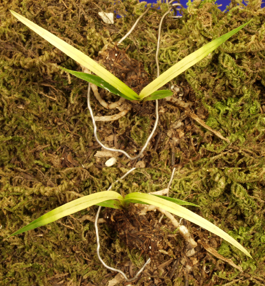 ������ ū������ �� �� �ֽ��ϴ�.