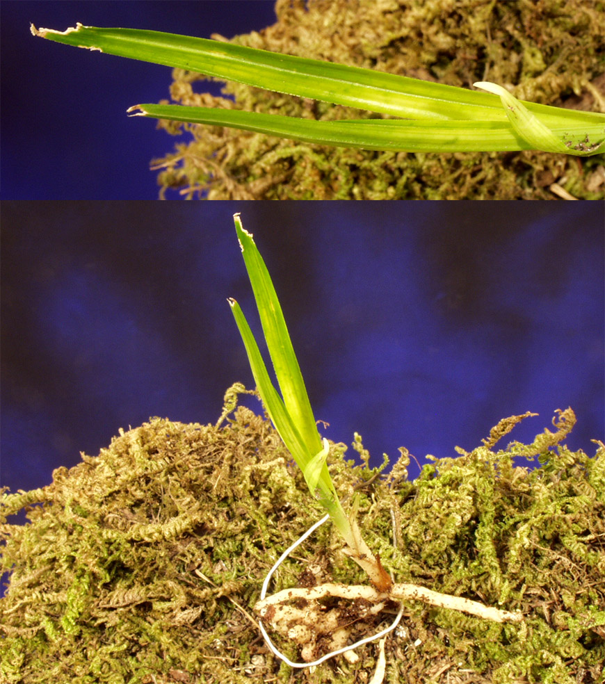 ������ ū������ �� �� �ֽ��ϴ�.