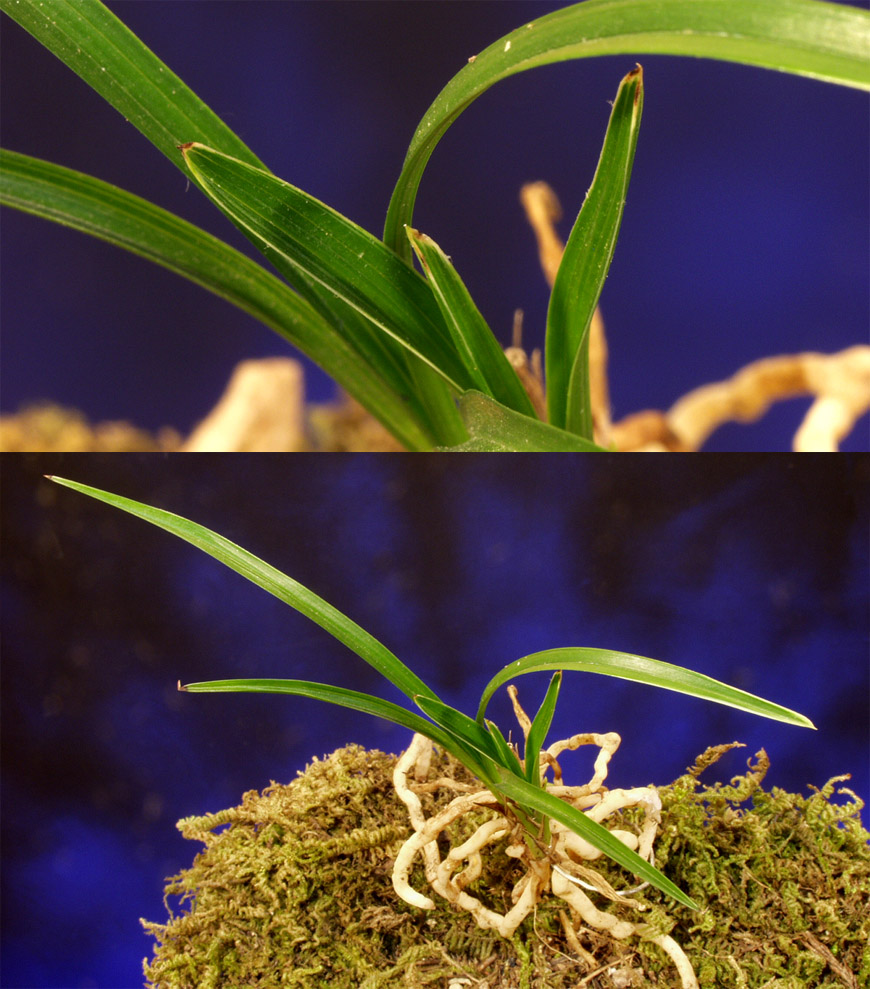 ������ ū������ �� �� �ֽ��ϴ�.