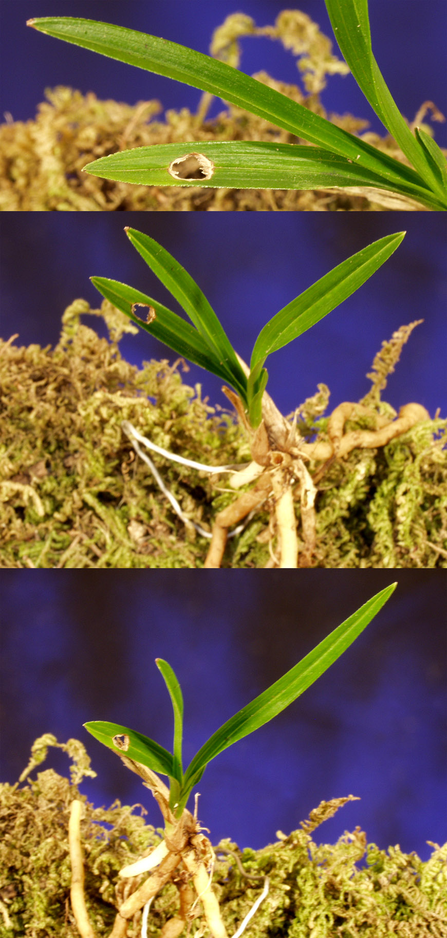 ������ ū������ �� �� �ֽ��ϴ�.