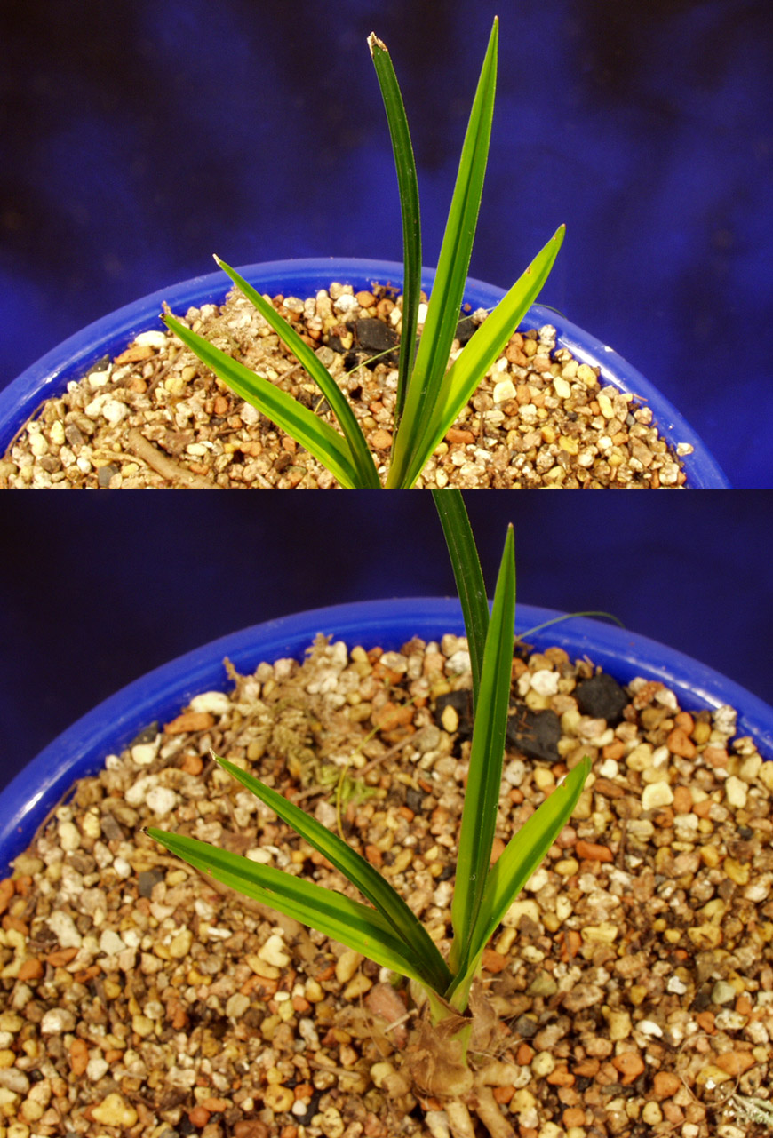 ������ ū������ �� �� �ֽ��ϴ�.