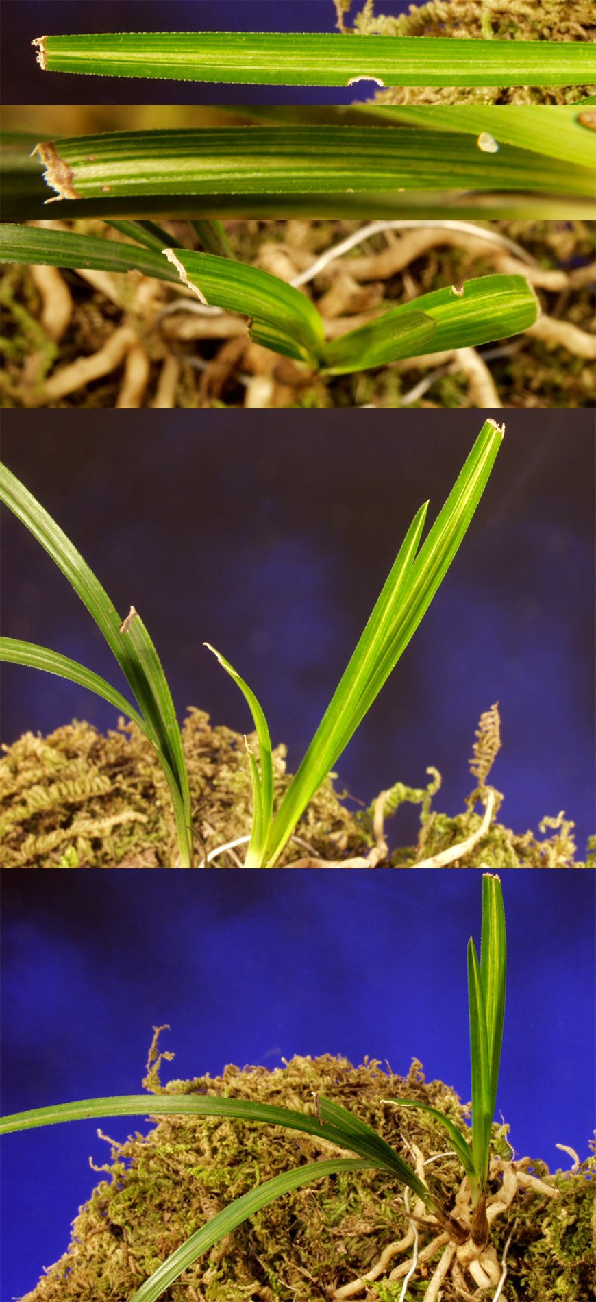 ������ ū������ �� �� �ֽ��ϴ�.