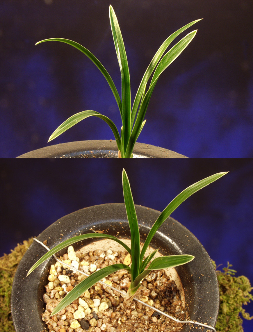 ������ ū������ �� �� �ֽ��ϴ�.