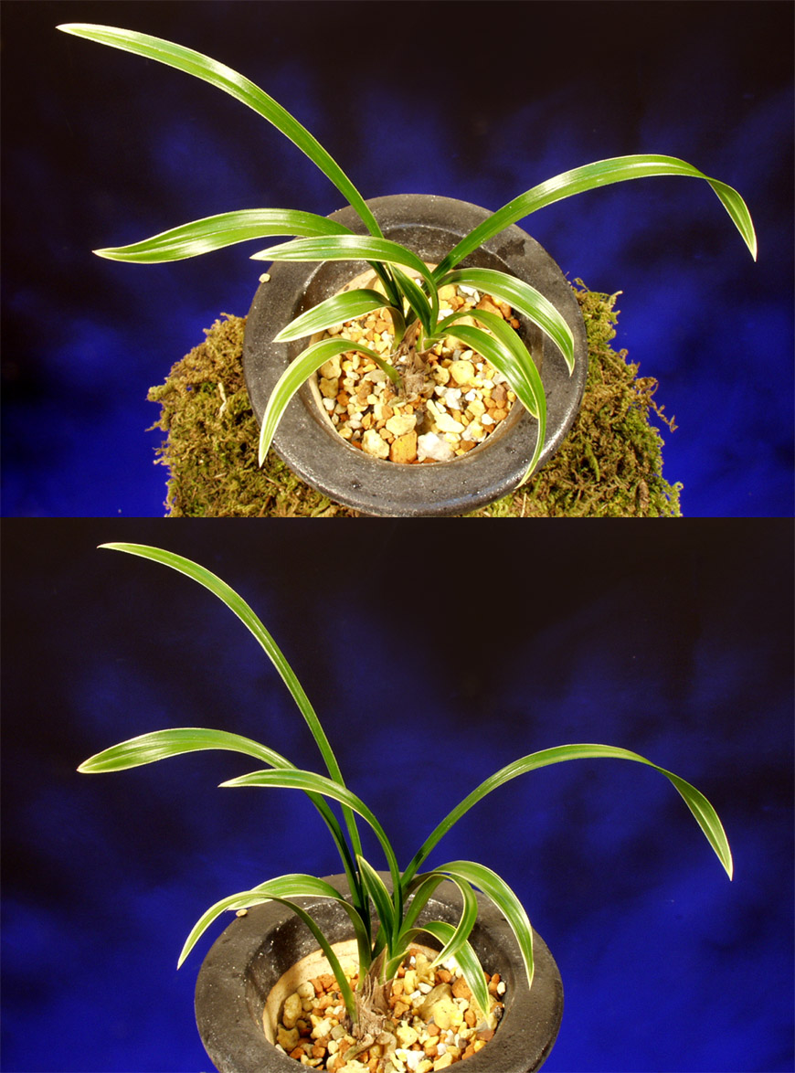 ������ ū������ �� �� �ֽ��ϴ�.