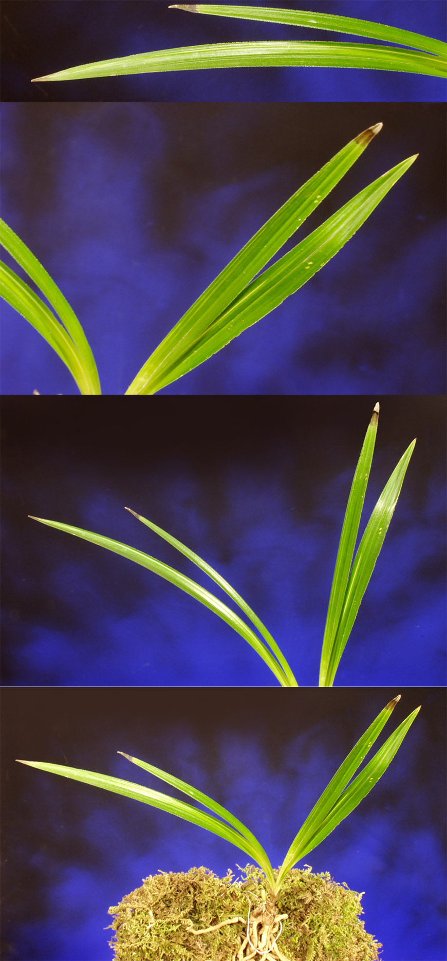 ������ ū������ �� �� �ֽ��ϴ�.