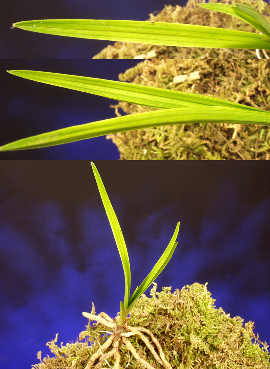 ������ ū������ �� �� �ֽ��ϴ�.