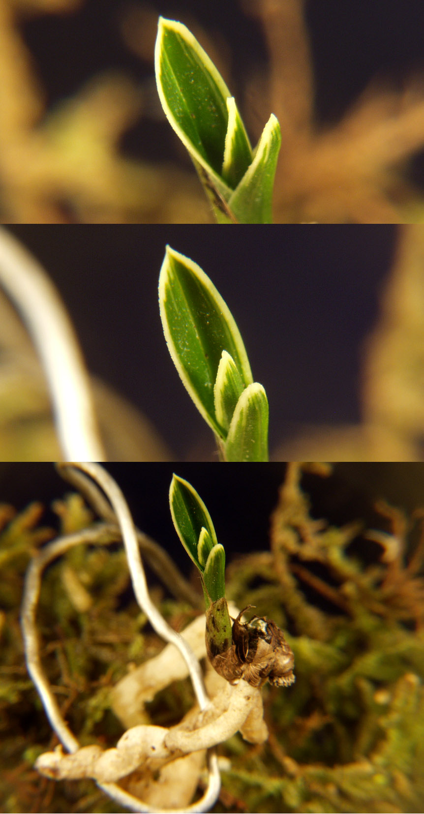 ������ ū������ �� �� �ֽ��ϴ�.