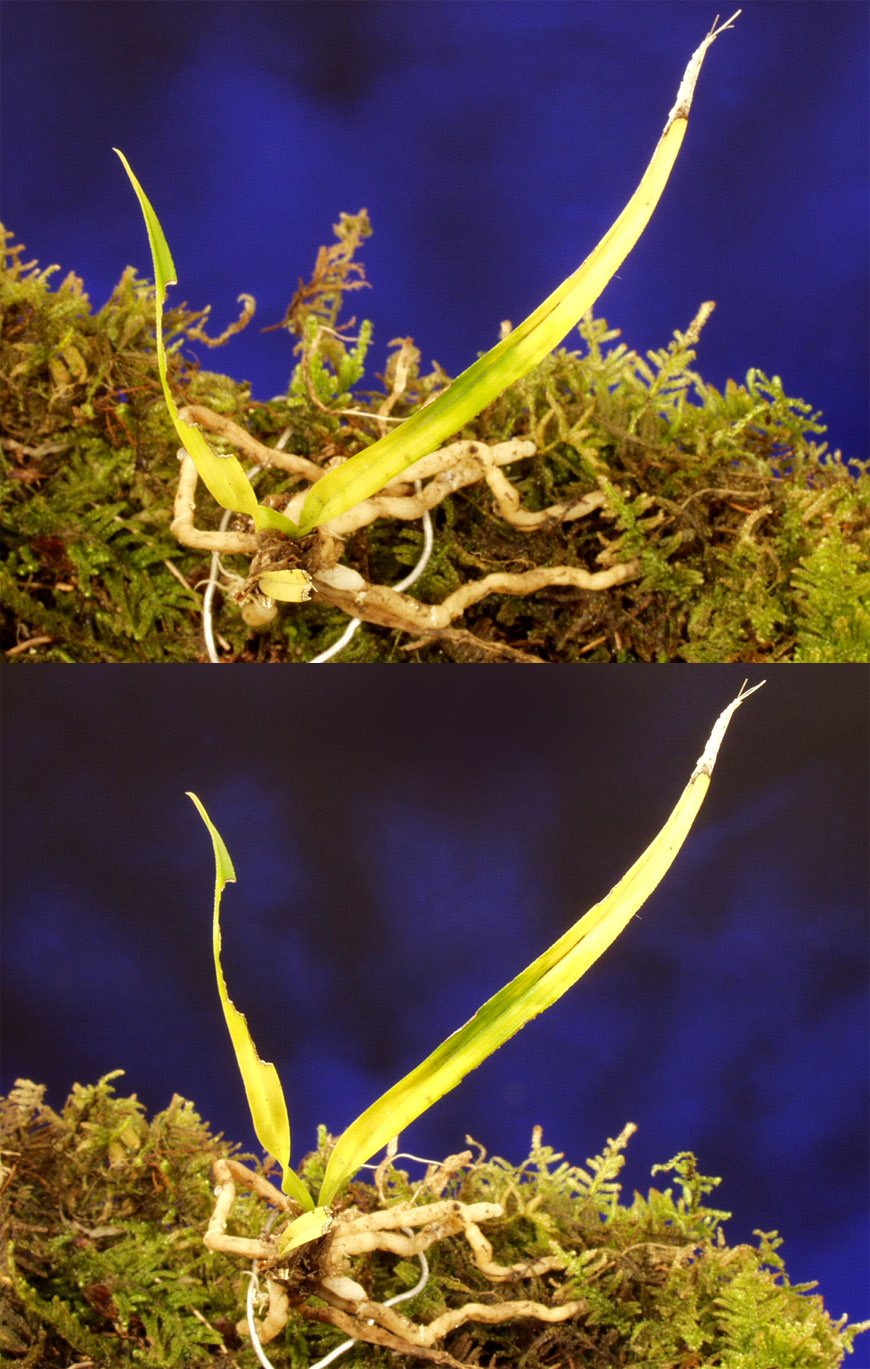 ������ ū������ �� �� �ֽ��ϴ�.